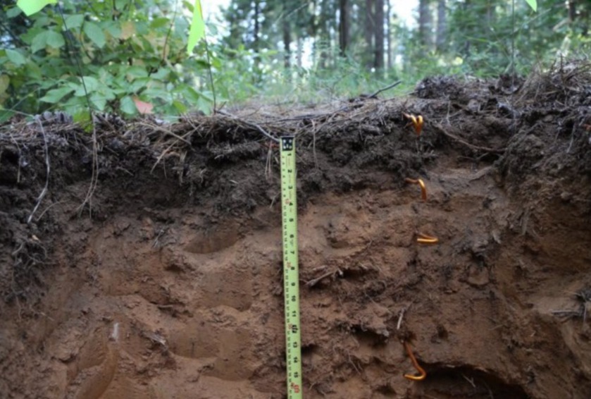 WhatsApp Image 2025-05-23 at 1.56.55 PM