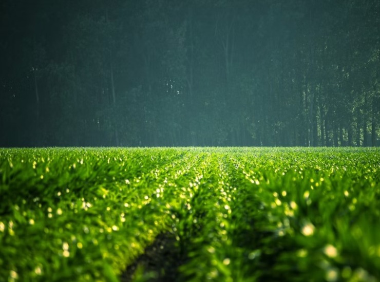 WhatsApp Image 2025-06-09 at 2.34.38 PM