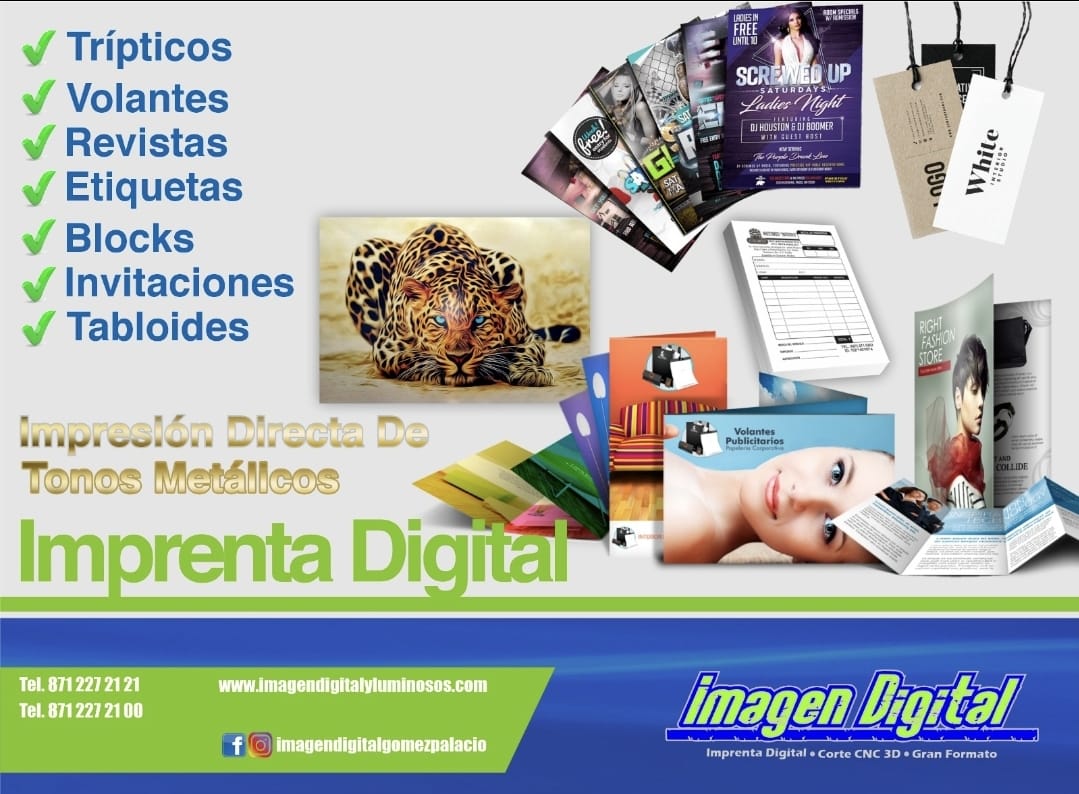 WhatsApp Image 2025-06-17 at 11.06.24 AM (1)