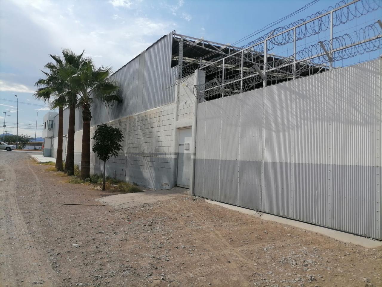 WhatsApp Image 2025-06-18 at 3.53.42 PM (1)